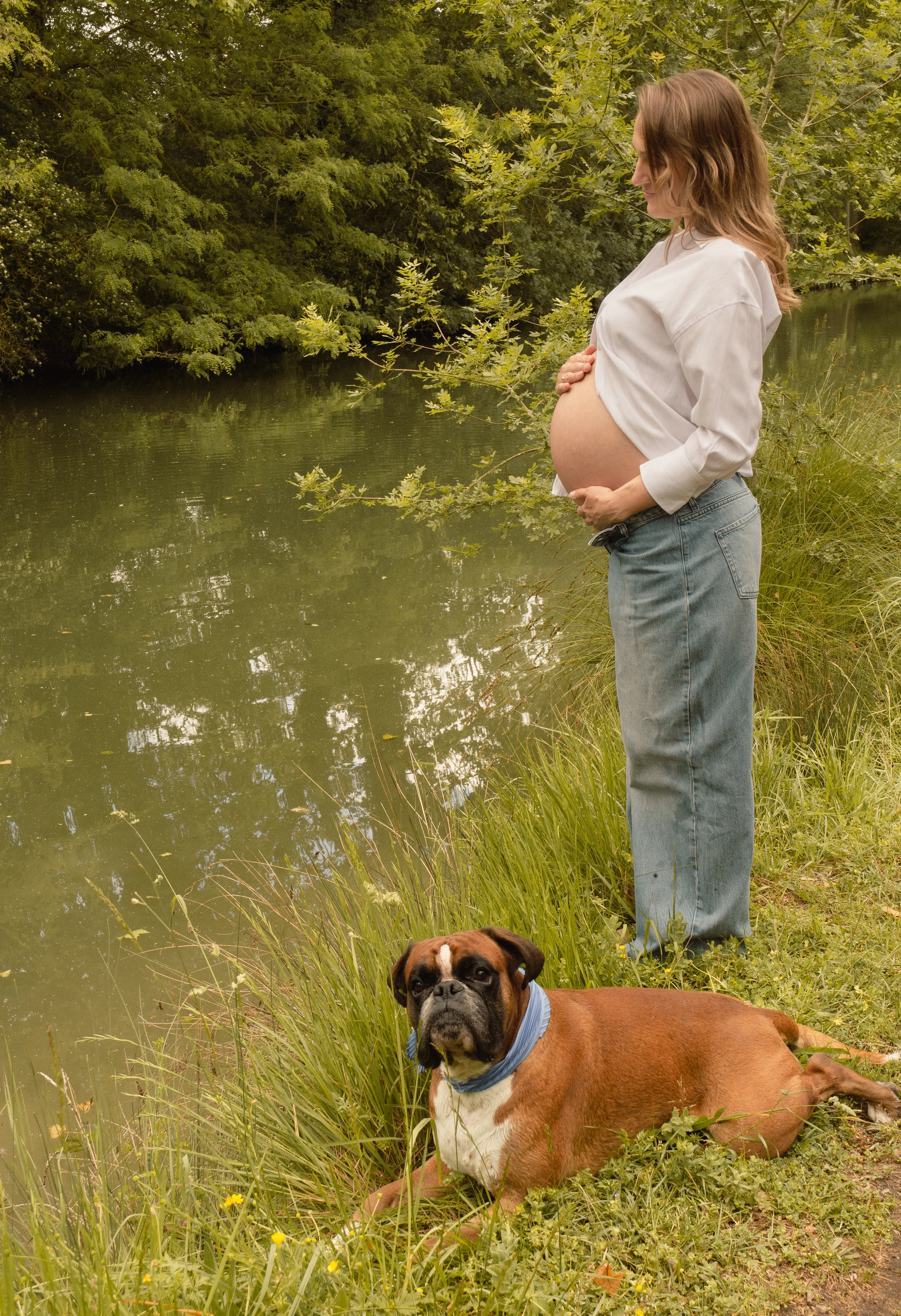 Canal midi grossesse chien, séance photo grossesse à Toulouse