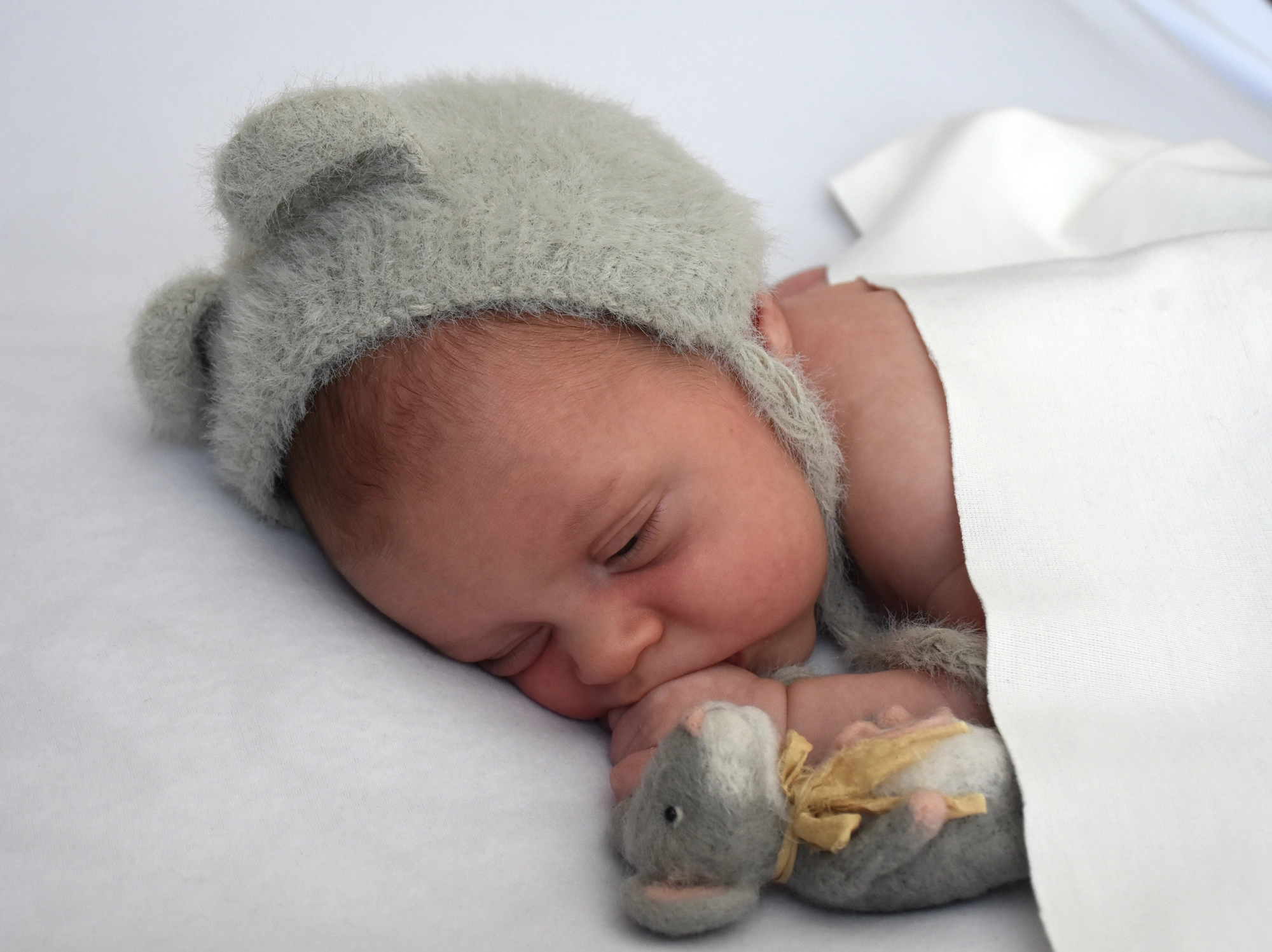 Nouveau-né doudou souris, séance photo nouveau-né à Toulouse